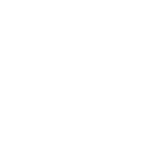 Favicon LaetitiaOllivro Site web